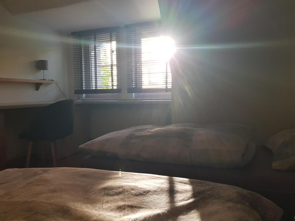 Apartment Am Suedpark Erfurt - Inkl Garten Mit Sitzlounge - Zentrumsnah エクステリア 写真