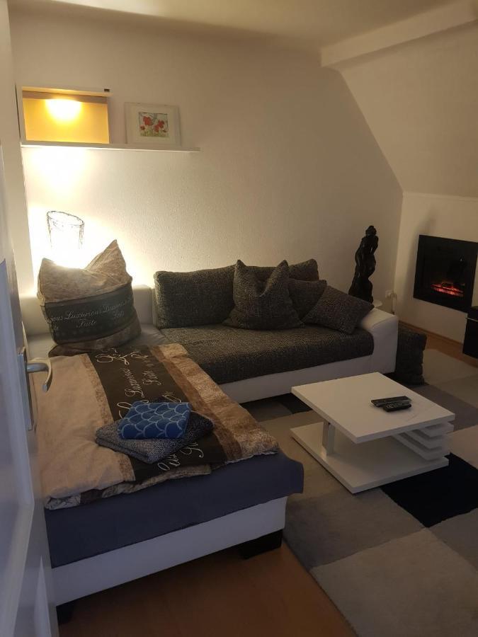 Apartment Am Suedpark Erfurt - Inkl Garten Mit Sitzlounge - Zentrumsnah エクステリア 写真