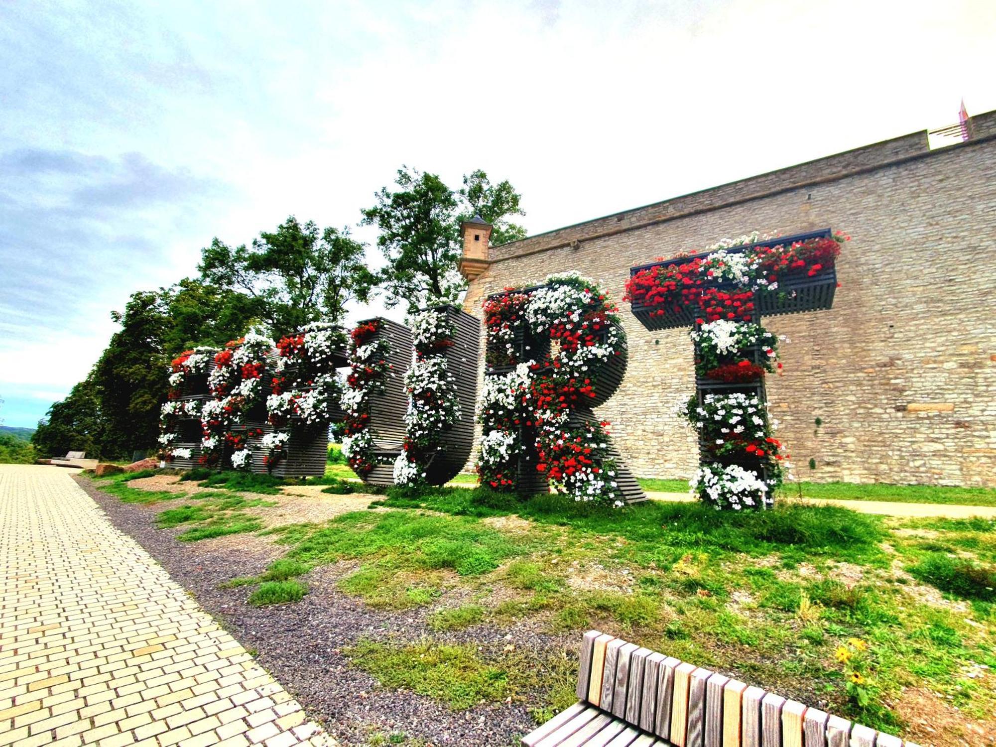 Apartment Am Suedpark Erfurt - Inkl Garten Mit Sitzlounge - Zentrumsnah エクステリア 写真