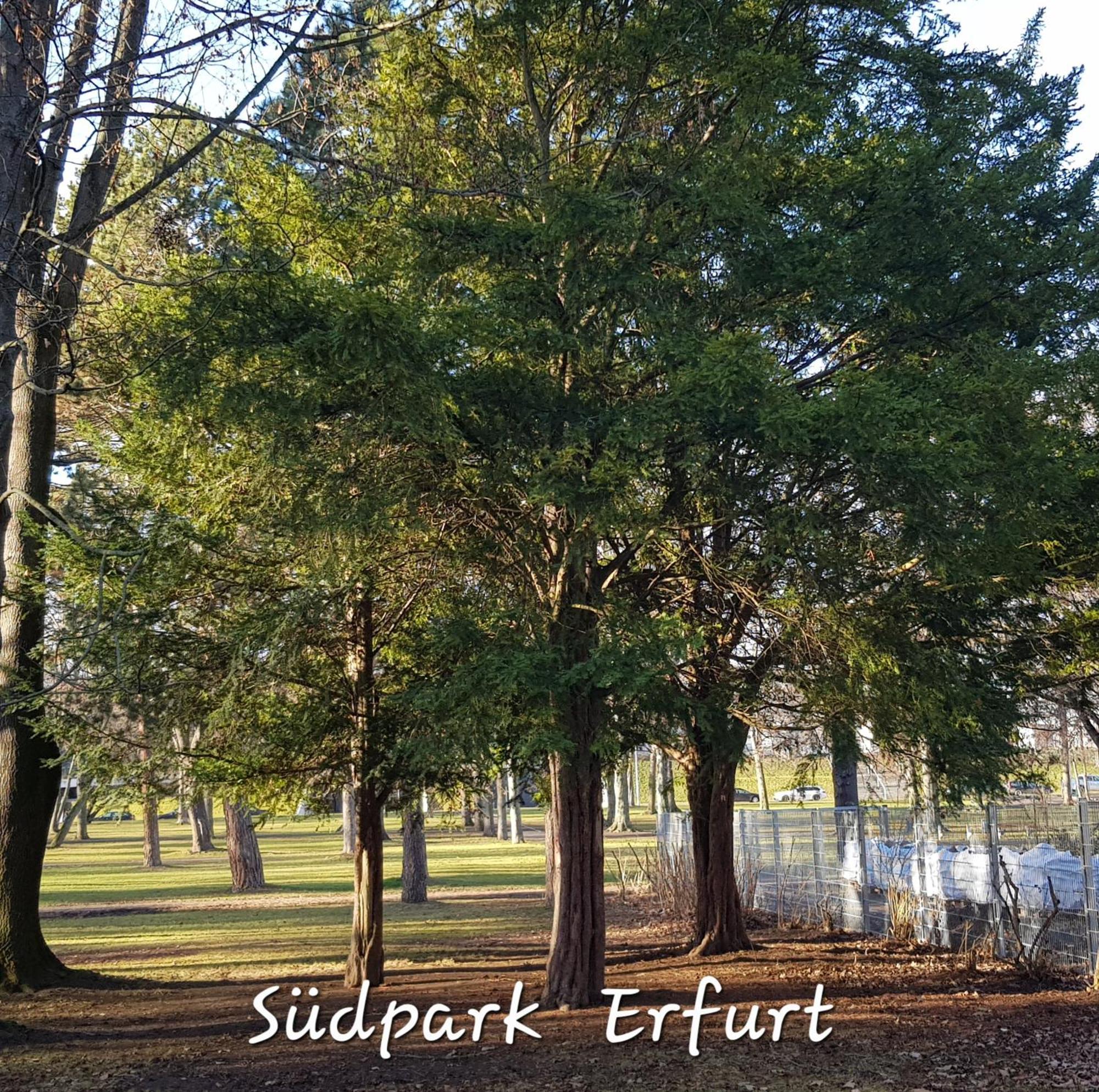 Apartment Am Suedpark Erfurt - Inkl Garten Mit Sitzlounge - Zentrumsnah エクステリア 写真